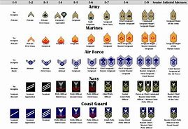 Image result for Insignia Codes