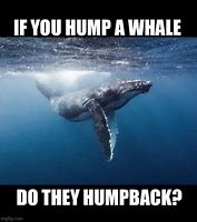Image result for Whale Head Meme