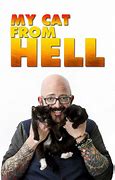 Image result for My Crazy Cat From Hell