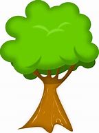 Image result for Oak Tree Cartoon