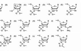 Image result for Locked Nucleic Acid