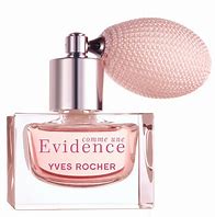 Image result for Evidence Parfum