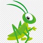 Image result for Cricket Animal