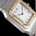 Image result for Cartier Santos Automatic