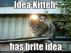 Image result for Idea Cat Meme