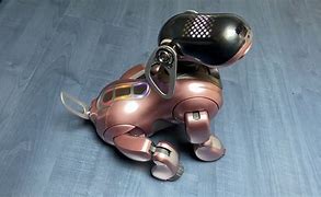 Image result for Pink Aibo
