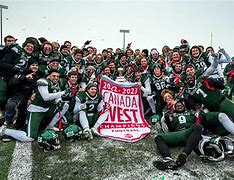 Image result for Usask Huskies