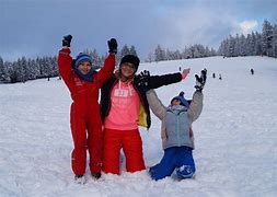 Image result for Group of Nordic Friends