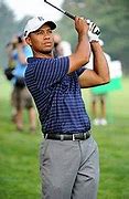Image result for Nike Tiger Woods Golf Shoes