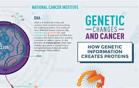 Image result for Cancer DNA Mutation