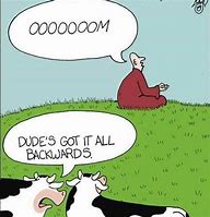 Image result for Happy Friday Cow Funnies