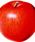 Image result for Ooty Apple Fruit