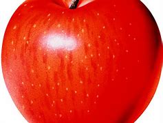 Image result for Love Apple PNG