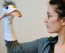 Image result for Human Sock Puppet