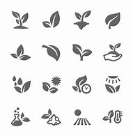 Image result for Strong Plant Icon