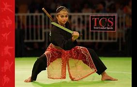 Image result for Silat Martial Arts