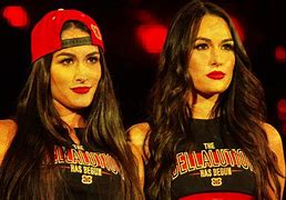 Image result for Bella Twins Poster