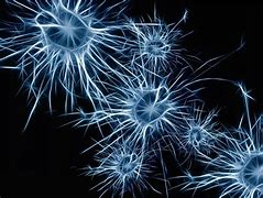 Image result for How Memory Works in Your Brain