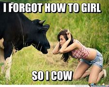 Image result for Mood Cow Meme