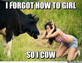 Image result for Soon Cow Meme