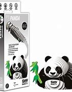 Image result for Panda Model Kits