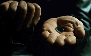 Image result for What Is a Capsule Made Of