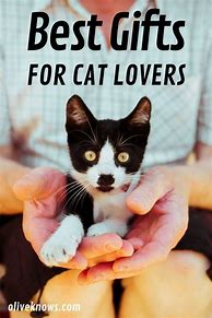 Image result for Best Cat Lover Gift