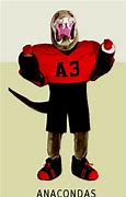 Image result for West Point Mascot