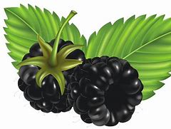 Image result for BlackBerry Lime Clip Art