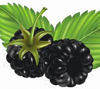 Image result for BlackBerry Clip Art