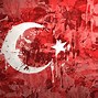 Image result for Flag of Turkey