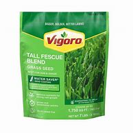 Image result for Vigoro Tall Fescue Blend Grass Seed