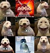 Image result for XD Dog Meme