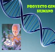 Image result for Proyecto Genoma Humano