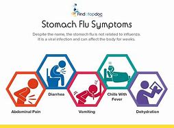 Image result for How Long Does Stomach Flu Last