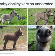 Image result for Everyday Jokes to Make You Laugh