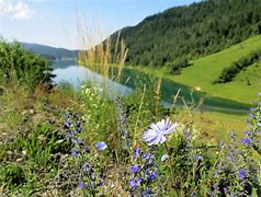 Image result for Serbia Lakes