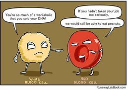 Image result for T-cell Meme
