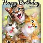 Image result for Happy 60th Birthday Cat Memes