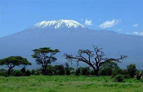 Image result for kilimanjaro