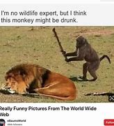 Image result for Really Funny Clean Jokes