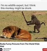 Image result for Really Good Funny Memes