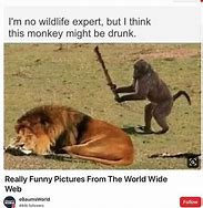 Image result for Really Funny Memes Clean