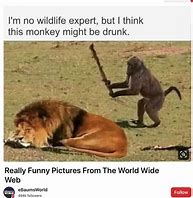 Image result for Funny Pics Clean