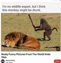 Image result for Funny Jokes Clean