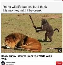 Image result for Weird Funny Memes Clean