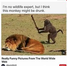 Image result for Funny Memes 2019 Free Clean