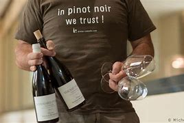 Image result for Nicolas Rossignol Pommard Vignots