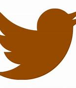 Image result for Brown Twitter Layout
