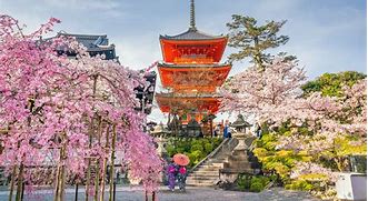 Image result for Kyoto Temples Tour